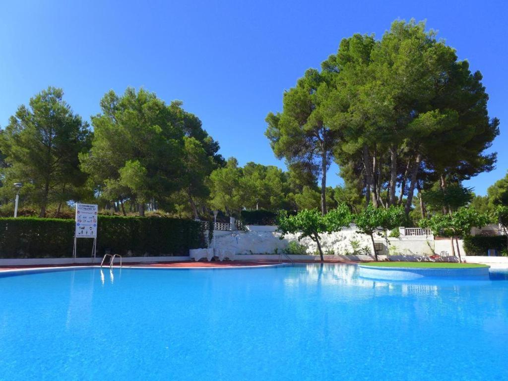 Catalonia Park Apartment